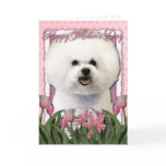 Mothers Day - Pink Tulips - Bichon Frise