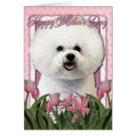 Mothers Day - Pink Tulips - Bichon Frise Greeting Cards