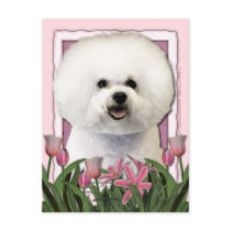 Mothers Day - Pink Tulips - Bichon Frise