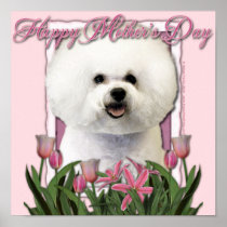 Mothers Day - Pink Tulips - Bichon Frise
