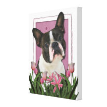 Mothers Day - Pink Tulips - Boston Terrier Gallery Wrapped Canvas