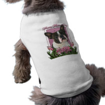 Mothers Day - Pink Tulips - Boston Terrier