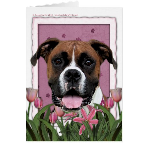 Mothers Day - Pink Tulips - Boxer - Vindy Greeting Cards