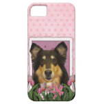 Mothers Day - Pink Tulips - Collie - Caroline