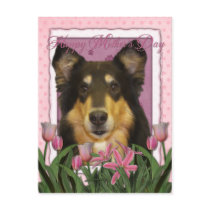 Mothers Day - Pink Tulips - Collie - Caroline