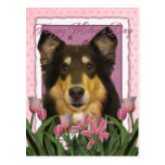 Mothers Day - Pink Tulips - Collie - Caroline Postcard