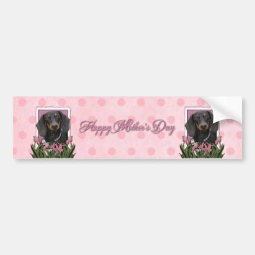 Mothers Day - Pink Tulips - Dachshund - Winston Bumper Stickers
