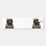 Mothers Day - Pink Tulips - Dachshund - Winston Bumper Stickers