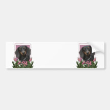Mothers Day - Pink Tulips - Dachshund - Winston Bumper Stickers