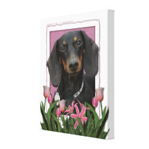 Mothers Day - Pink Tulips - Dachshund - Winston Canvas Print