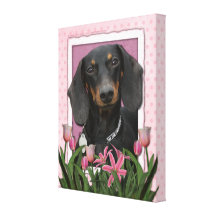 Mothers Day - Pink Tulips - Dachshund - Winston Gallery Wrap Canvas
