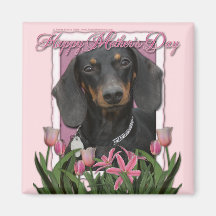 Mothers Day - Pink Tulips - Dachshund - Winston Magnet