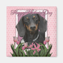 Mothers Day - Pink Tulips - Dachshund - Winston Magnets