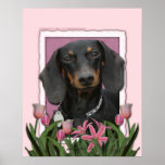 Mothers Day - Pink Tulips - Dachshund - Winston Posters