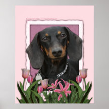 Mothers Day - Pink Tulips - Dachshund - Winston Posters