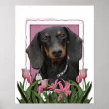 Mothers Day - Pink Tulips - Dachshund - Winston Posters