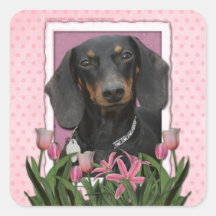 Mothers Day - Pink Tulips - Dachshund - Winston Square Sticker