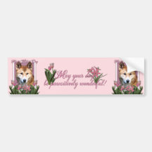 Mothers Day - Pink Tulips - Dingo Bumper Sticker