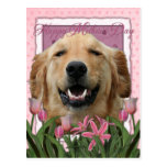 Mothers Day - Pink Tulips - Golden Retriever Post Card