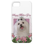 Mothers Day - Pink Tulips - Maltese