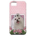 Mothers Day - Pink Tulips - Maltese