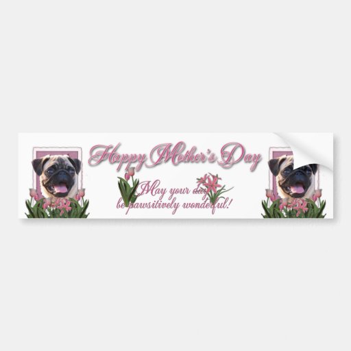 Mothers Day - Pink Tulips - Pug Bumper Sticker