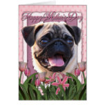Mothers Day - Pink Tulips - Pug Greeting Cards
