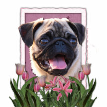 Mothers Day - Pink Tulips - Pug Photo Sculptures