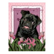 Mothers Day - Pink Tulips - Pug - Ruffy Post Card