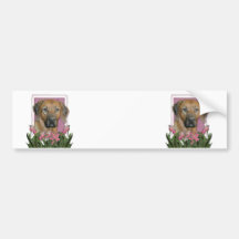 Mothers Day - Pink Tulips - Rhodesian Ridgeback Bumper Stickers