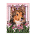 Mothers Day - Pink Tulips - Sheltie - Cooper Post Card