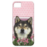 Mothers Day - Pink Tulips - Shiba Inu - Yasha