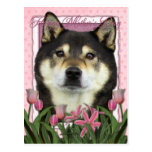 Mothers Day - Pink Tulips - Shiba Inu - Yasha Postcards