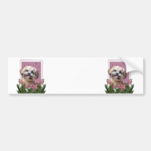 Mothers Day - Pink Tulips - ShihPoo - Maggie Bumper Stickers