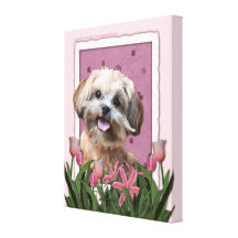 Mothers Day - Pink Tulips - ShihPoo - Maggie Stretched Canvas Prints