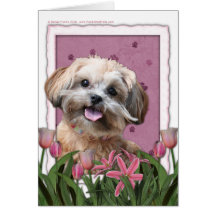 Mothers Day - Pink Tulips - ShihPoo - Maggie Card