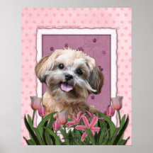 Mothers Day - Pink Tulips - ShihPoo - Maggie Posters