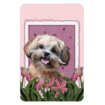 Mothers Day - Pink Tulips - ShihPoo - Maggie Flexible Magnet