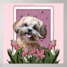 Mothers Day - Pink Tulips - ShihPoo - Maggie Print