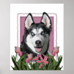 Mothers Day - Pink Tulips - Siberian Husky Posters