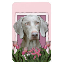 Mothers Day - Pink Tulips - Weimaraner - Gold Eyes Rectangular Magnets