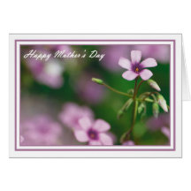 Mother's Day - Pink Wood Sorrel Greeting Card