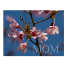 Mother's Day Postcard