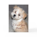 Mother's Day puppy Greeting Cards