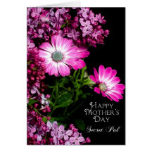 Mother's Day - Secret Pal - Fuchsia Flowers Greeting Cards