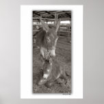 Mother's Pretty Baby posters