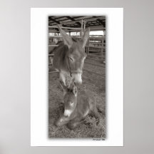 Mother's Pretty Baby Posters