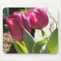 Mother's Tulips Mouse Pad