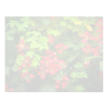 Motifs de nature en-tête de lettre customisable