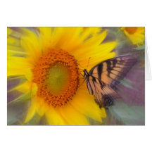 Motion , Forever Summer, Greeting Card.